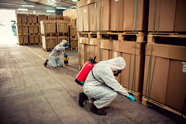 Best Emergency Pest Control  in Murillo, TX