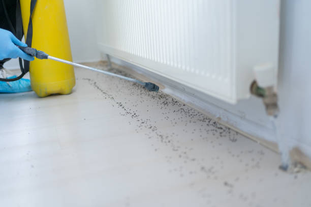 Best Affordable Exterminators  in Murillo, TX